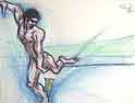 Surfer
